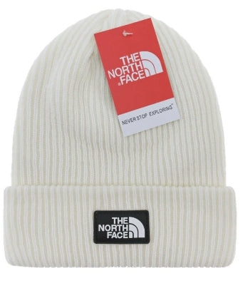 TNF Beanie